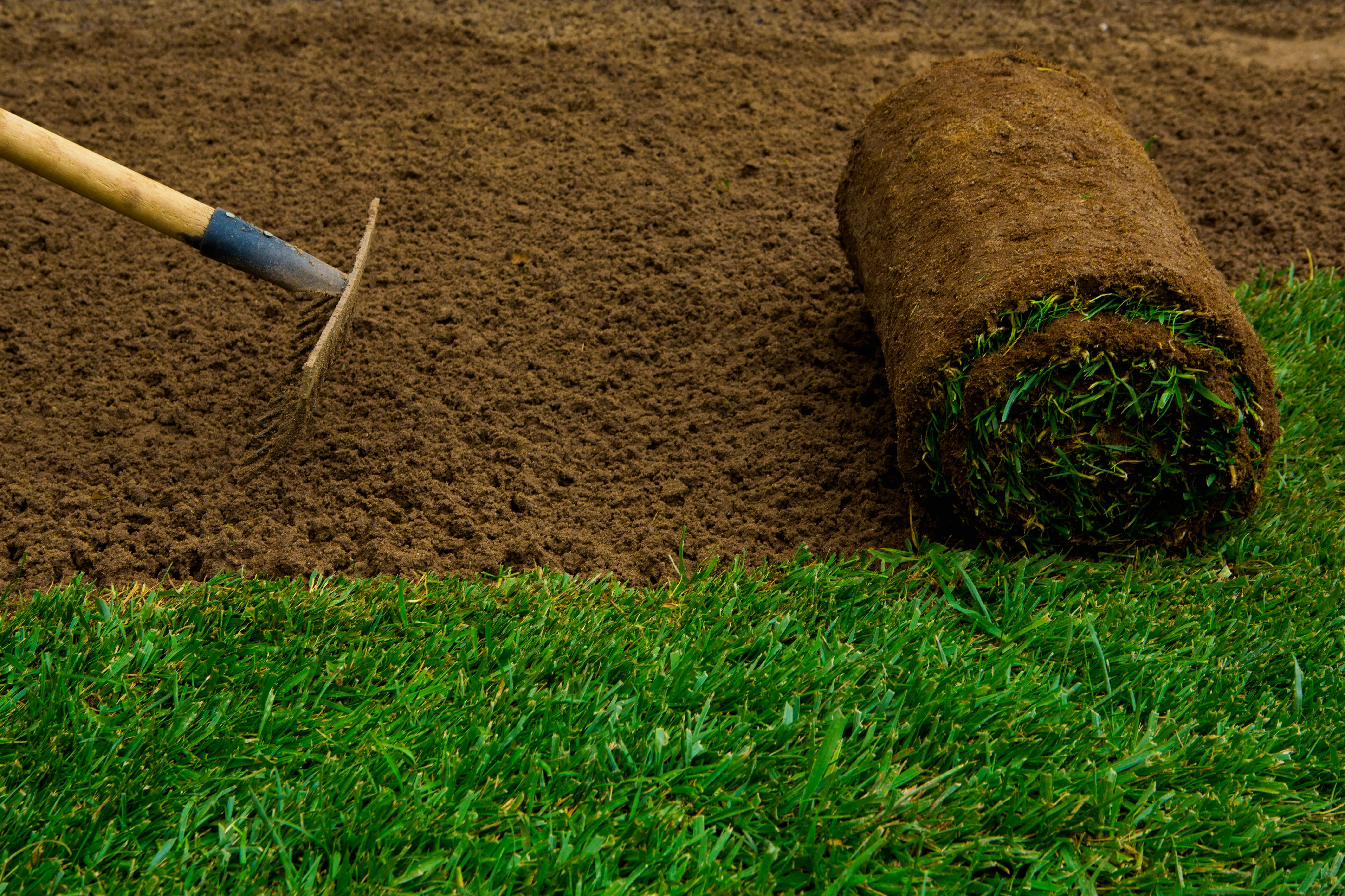 Sod Installation
